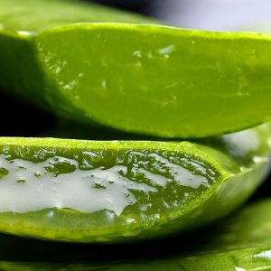 Aloe vera y sus propiedades
