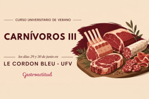 Curso de verano 2026